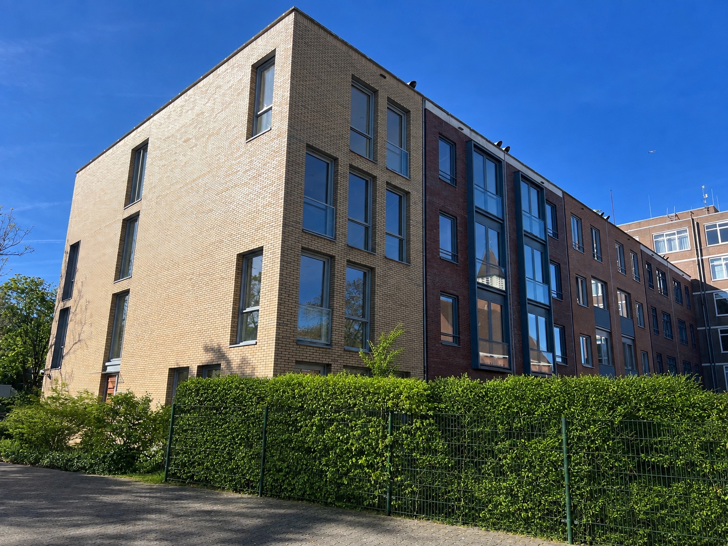 Zorgstudio’s ouderenzorg, Den Haag (Scheveningen)